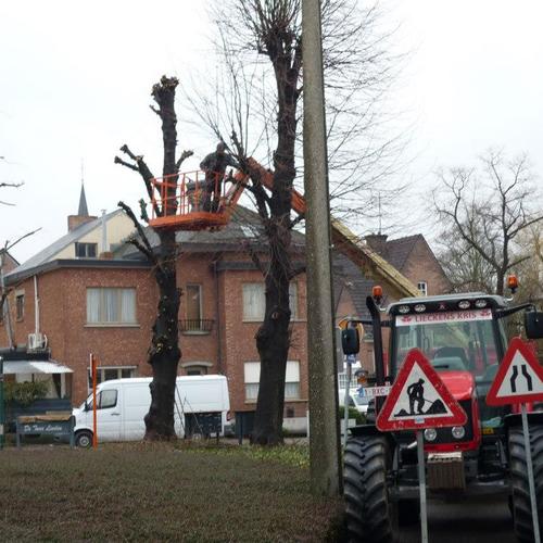 Bart Beullens - Groenbedrijf